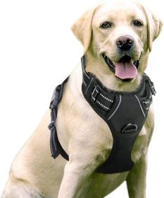 Dog Harness; No-Pull Pet Harness with 2 Leash Clips; Adjustable Soft Padded Dog Vest; Reflective No-Choke Pet Oxford Vest with Easy Control Handl (Color: Bright Pumpkin, size: medium)