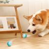 Smart Pet Toys For Dogs & Cats; Automatic Rolling Ball Electric Cat Toys; Interactive Cat Toys