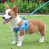 Reflective Pet Harness And Leash Set For Dog No Pull Dog Vest Harness With Breathable Mesh